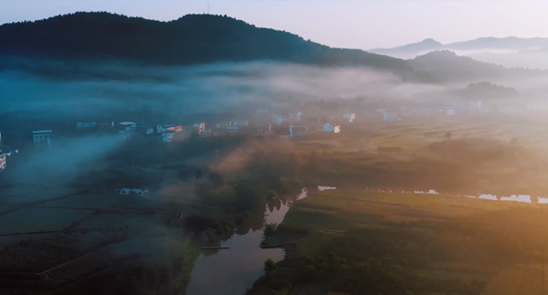 N12陈皮饮品广告—工厂篇